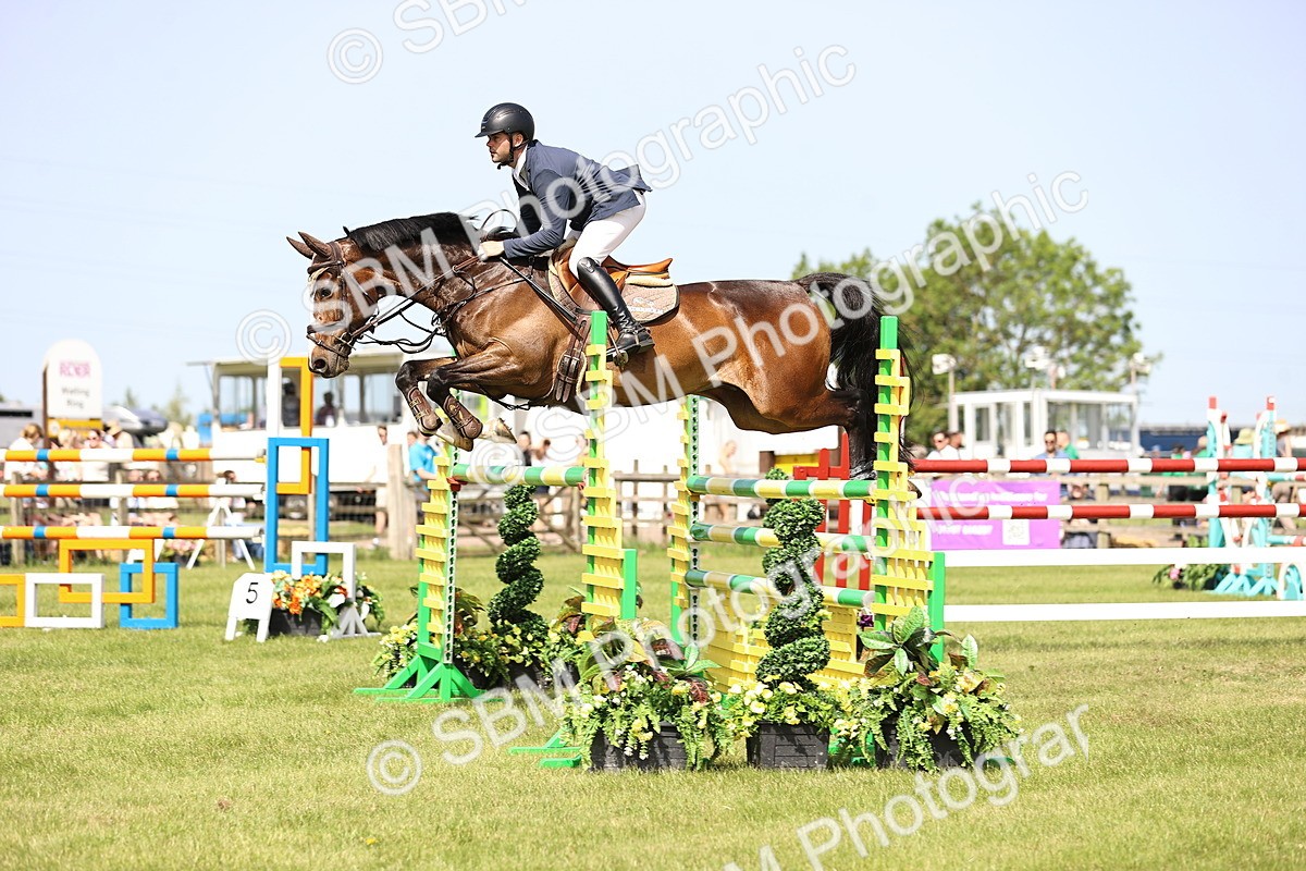SBM_03007 - Class 201 - British Horse Feedds Speedi Beet HOYS Grade C