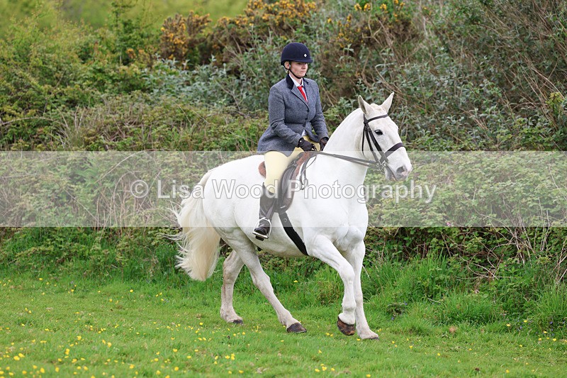 3E7A1130 - Class 7: Ridden Hunter Type