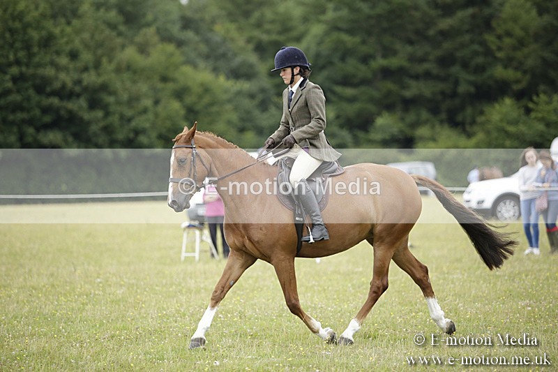 BVR160717-1038 - Ring 1 BVRC Show 16/07/17