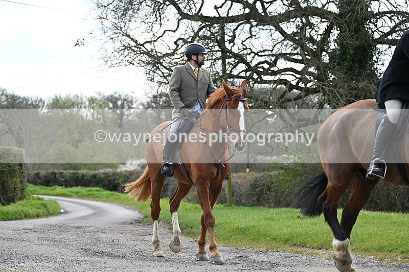 WJ7_9897 - Walk Home