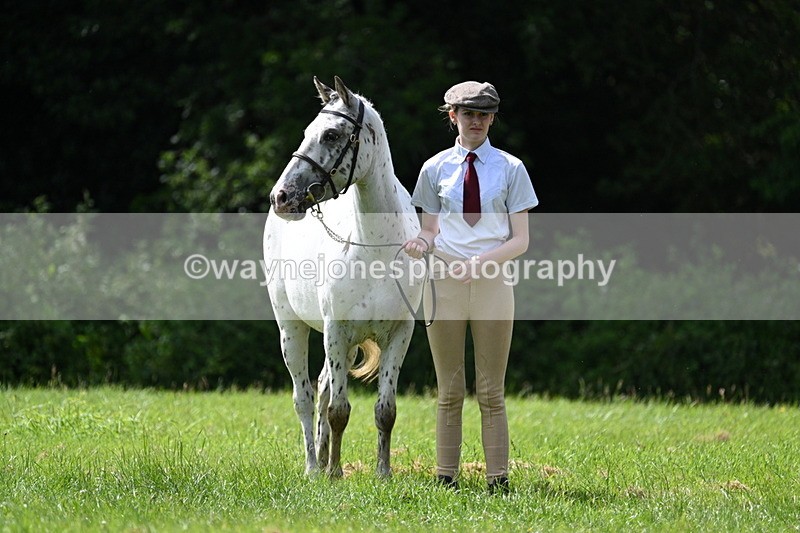 WJ7_1419 - Class 11 Condition & Turnout