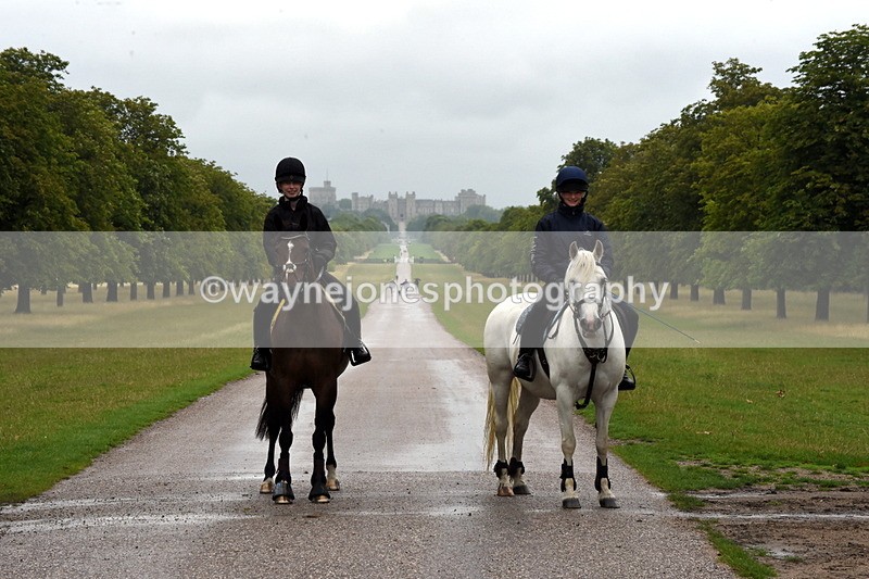 TT3_8188 - Time at Crossing 09:15 to 10:15