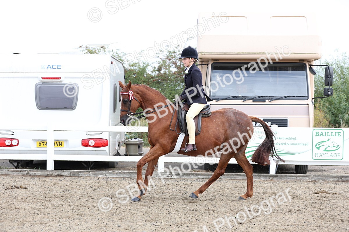 SBM_01501 - Class 52 - Ridden Veteran