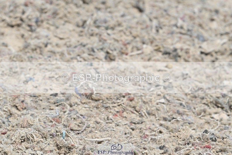 250621-125747-08073 - Cls 27 - Novice 6, 12.20 to End