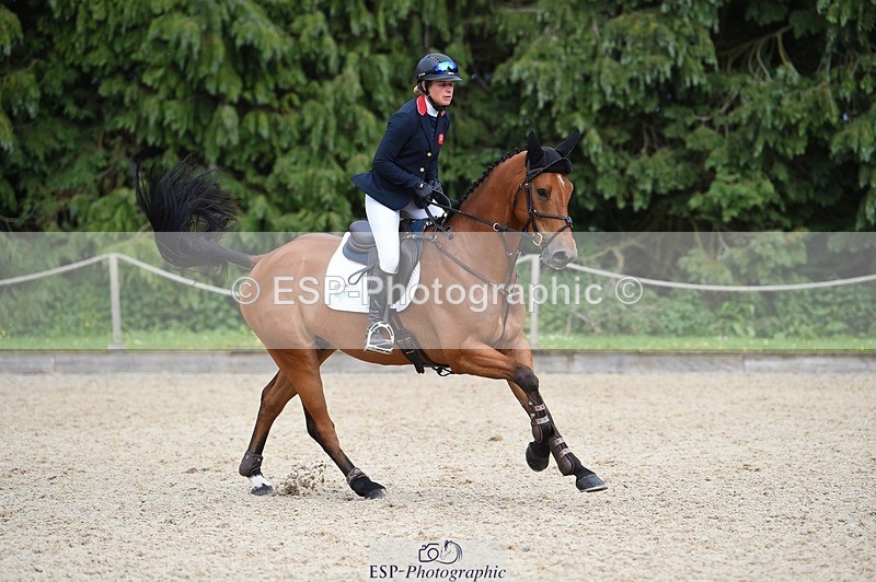 230528-154108-19152 - 182-HARTHILL_FLAMENCO-Izzy_Taylor-SUNTrotUp+SJ