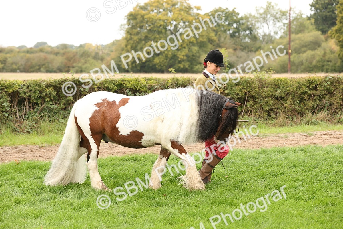 SBM_59222 - S57 - Traditional Cob In Hand
