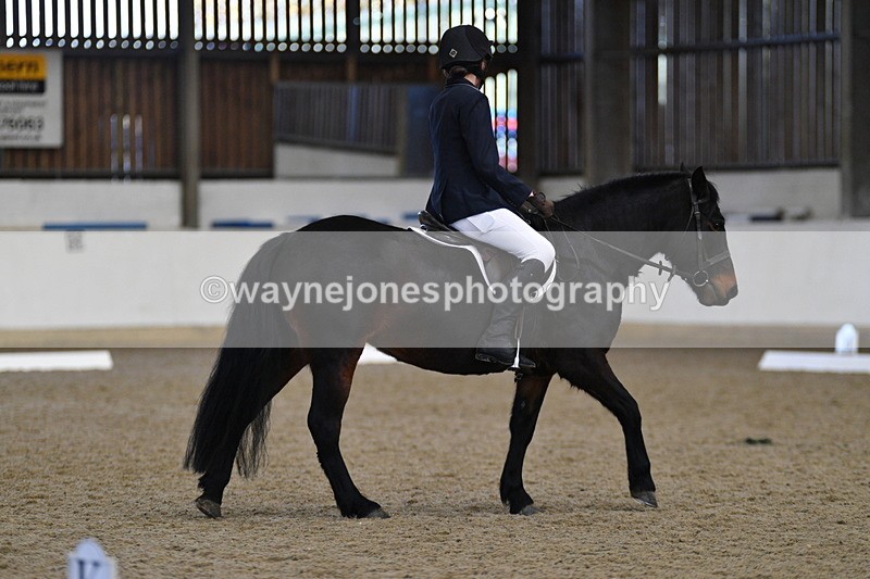 WJ5_7221 - Class 2 Intro Test 2