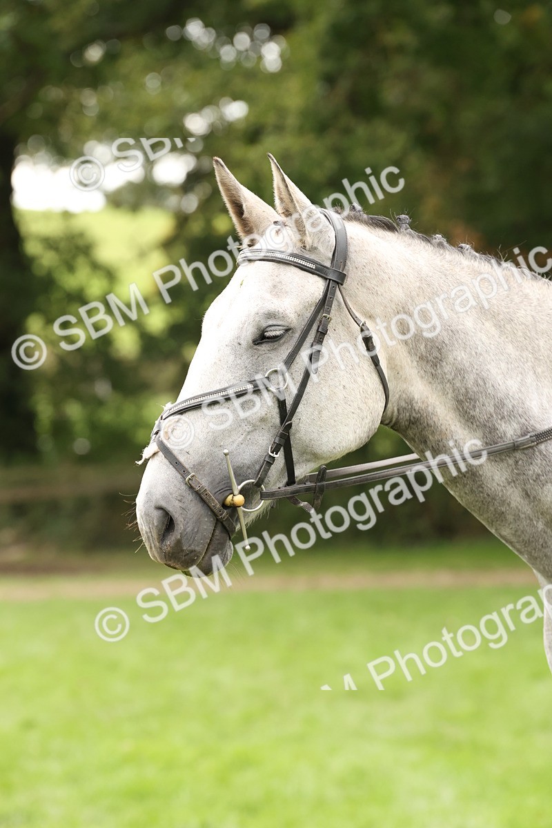 SBM_66379 - S66 - Hunter Ridden