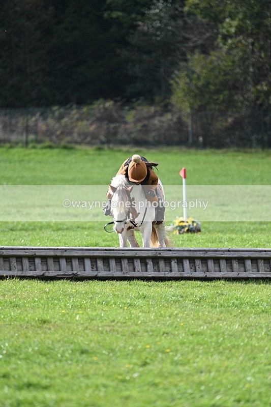 WJ7_3953 - 40cm Time 10:26 to 10:42