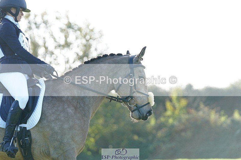 241025-104456-06060 - 363-Emily.Dobson-SILVERLININGS.APHRODITE