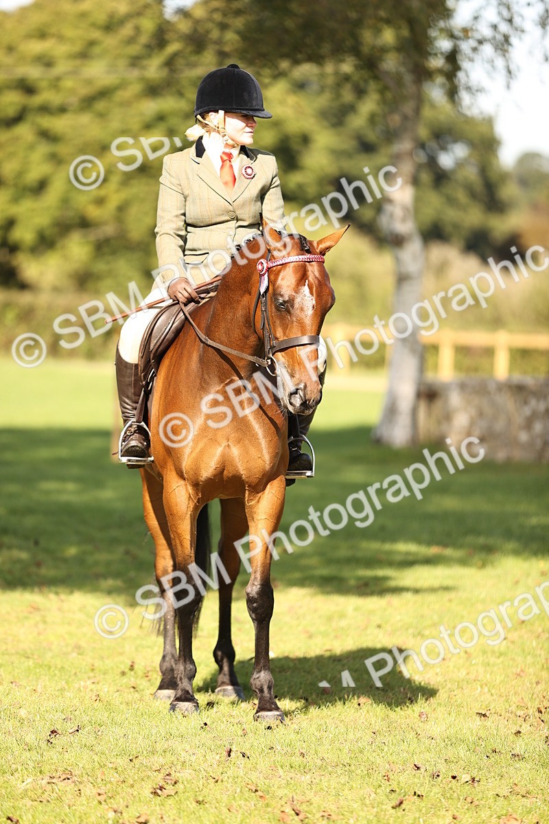 SBM_17011 - S2 - TSR Ridden Pony Showing