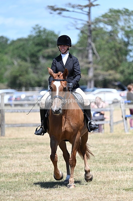 WJ7_3030 - Class 7 Riding Club Show Horse