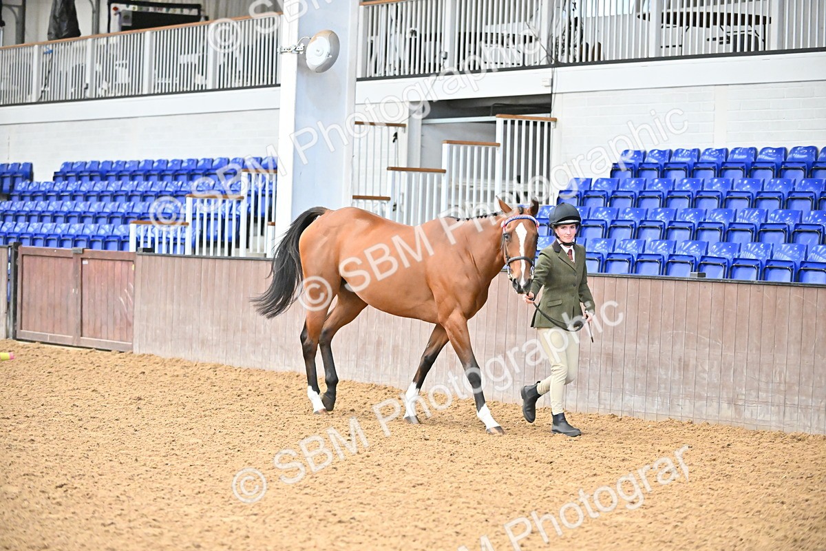 SBM_000106 - Class 6 - BSHA In Hand Racehorse to Show Horse