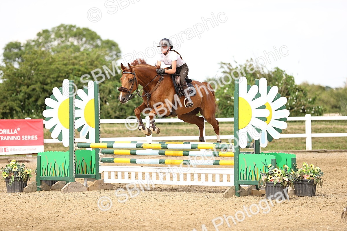 SBM_002416 - Class 18 - Ariat Senior British Novice- 90cm Open
