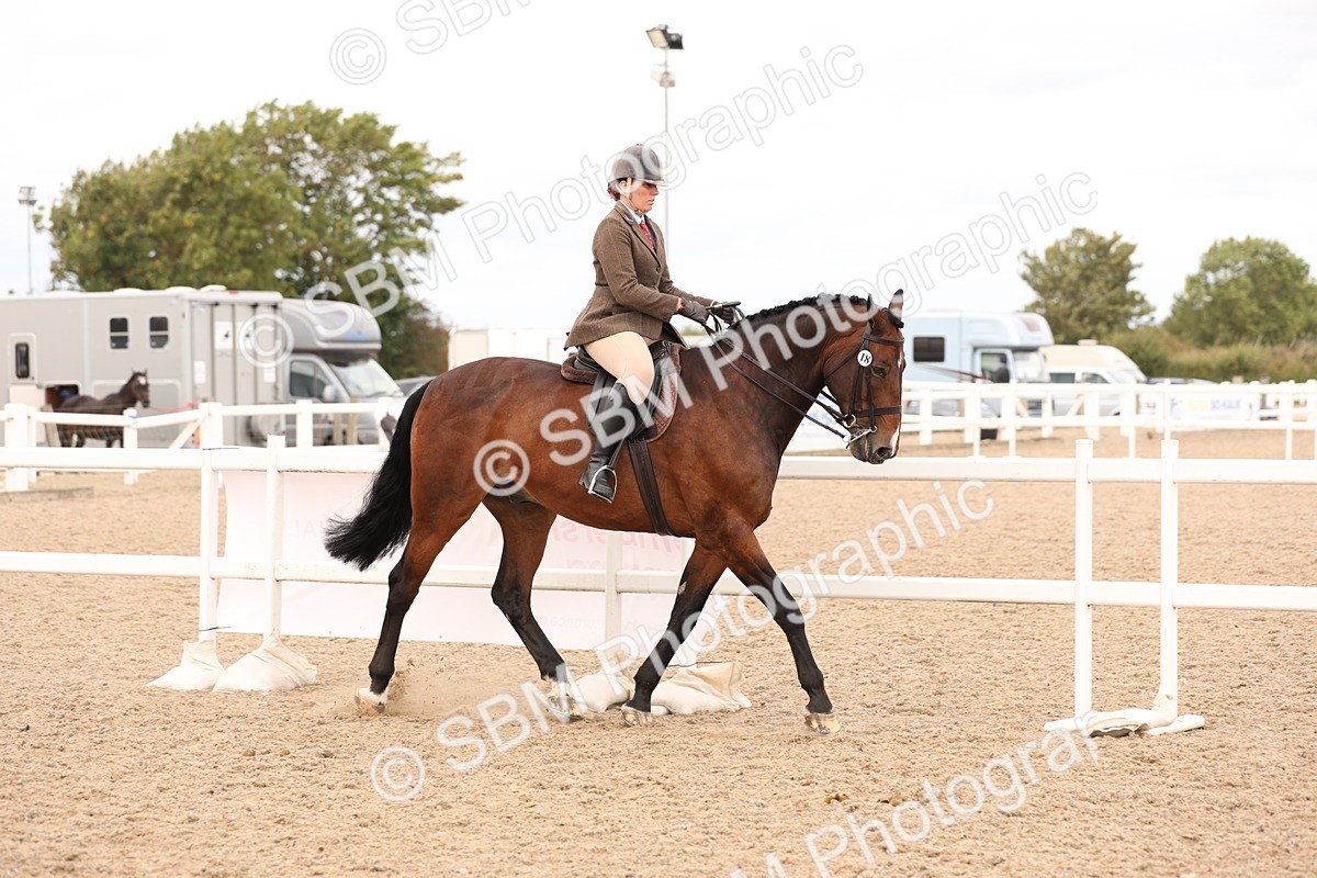 SBM_17194 - Class 213 - Ridden Hunter - Large