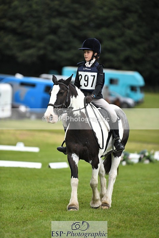 230826-112658-15861 - Sections C & D 10 to End