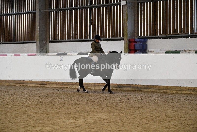 WJ5_7678 - Class 13 Ridden Part Breed