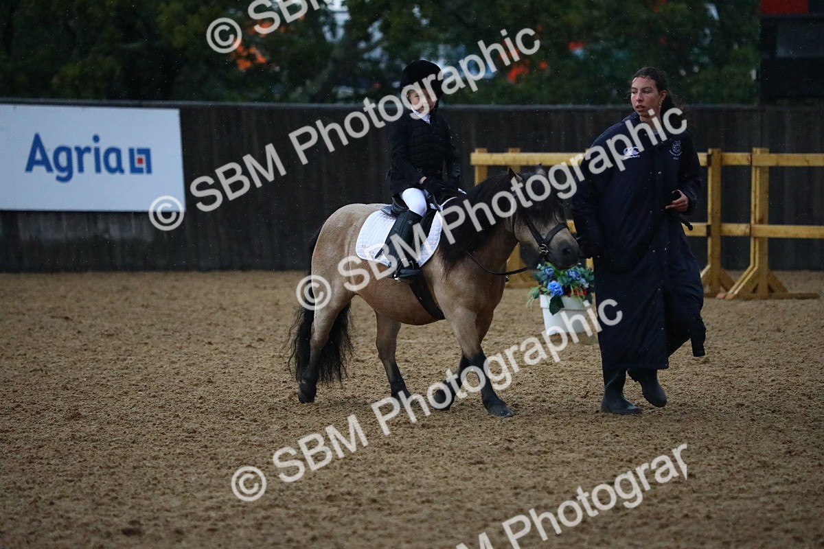 SBM_34594 - D26 - Starters Lead Rein