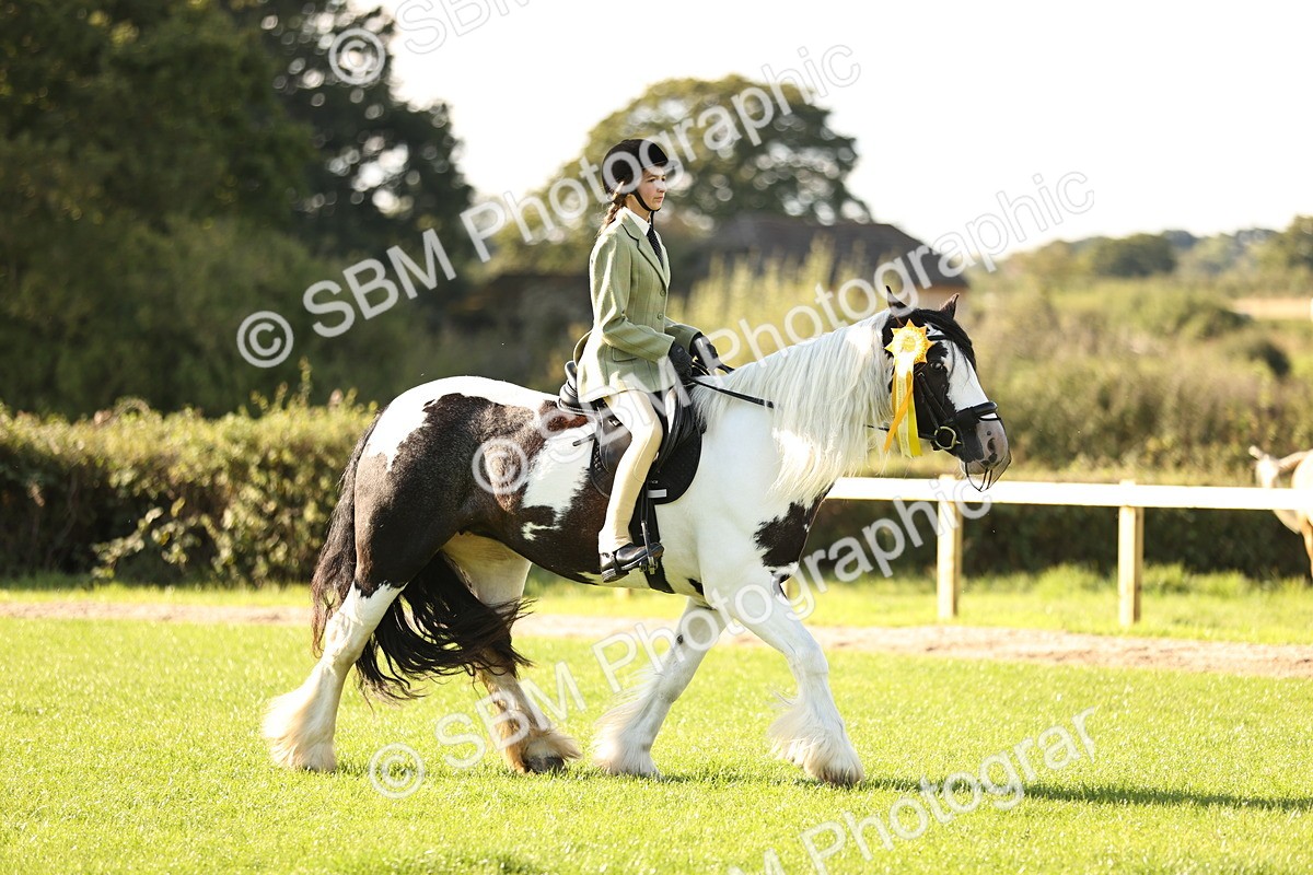 SBM_26515 - S6 - Novice & Newcomers Ridden Horse