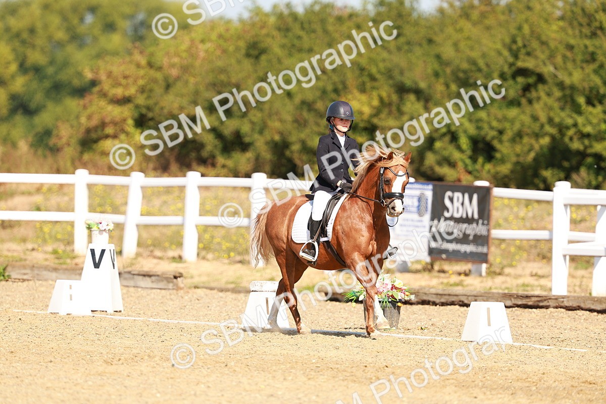 SBM_017571
