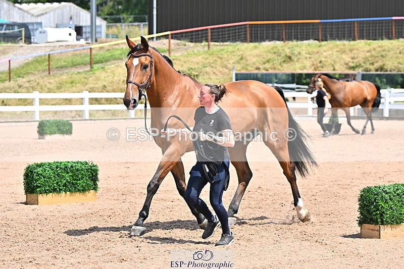 240718A-105317-01805 - Trot Up 1pm to 2pm