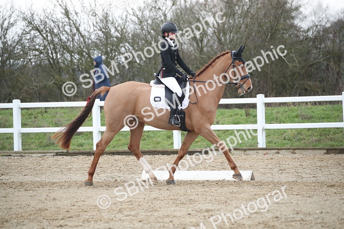 SBM_004620 - Novice 3