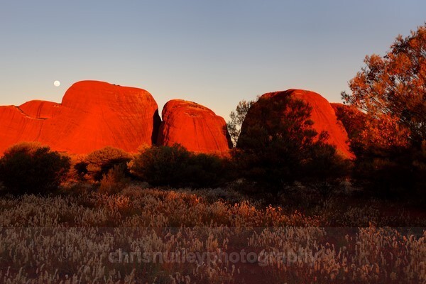  - Australian and American Landscapes