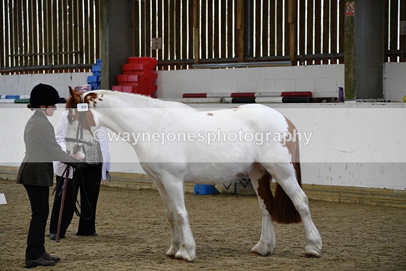 WJ5_5051 - Class 7 In hand coloured / odd coloured