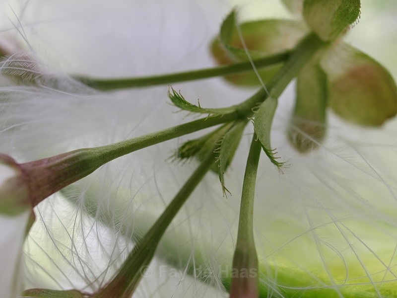  - Nature's Wonders