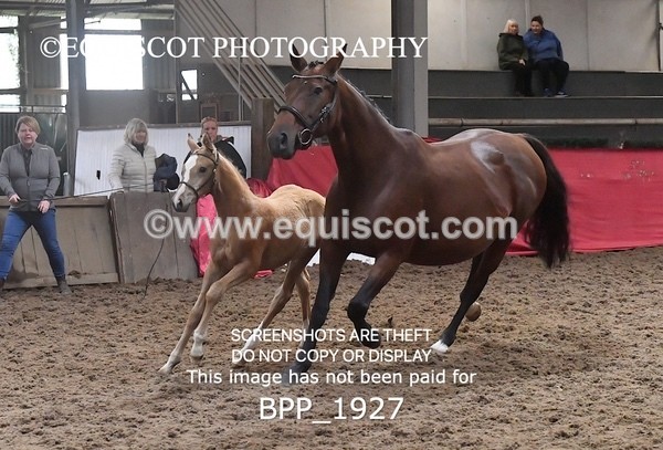 BPP_1927 - AFTERNOON 12.30 - 3.30PM