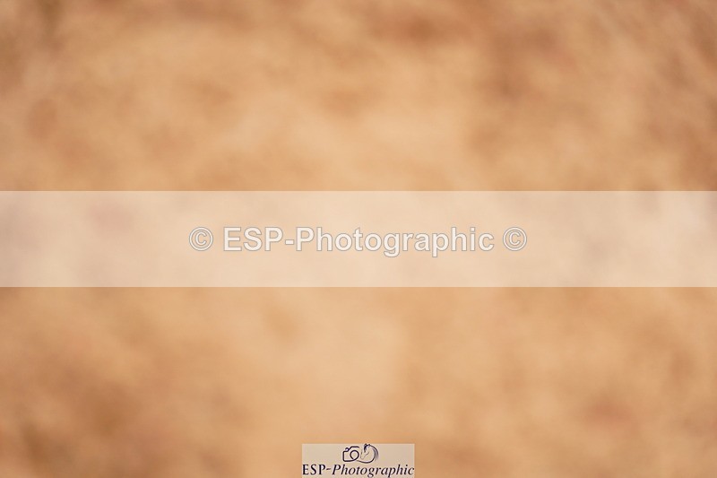 240526A-132712-08387 - Cls 27 Chard Equ May Grand Prix