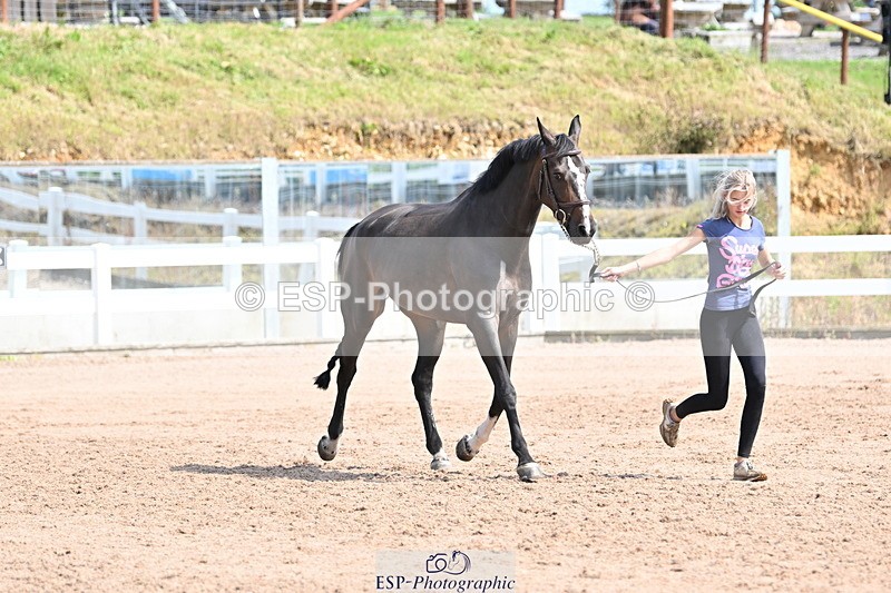 240717A-154213-02988 - Trot Up 3pm to 4pm