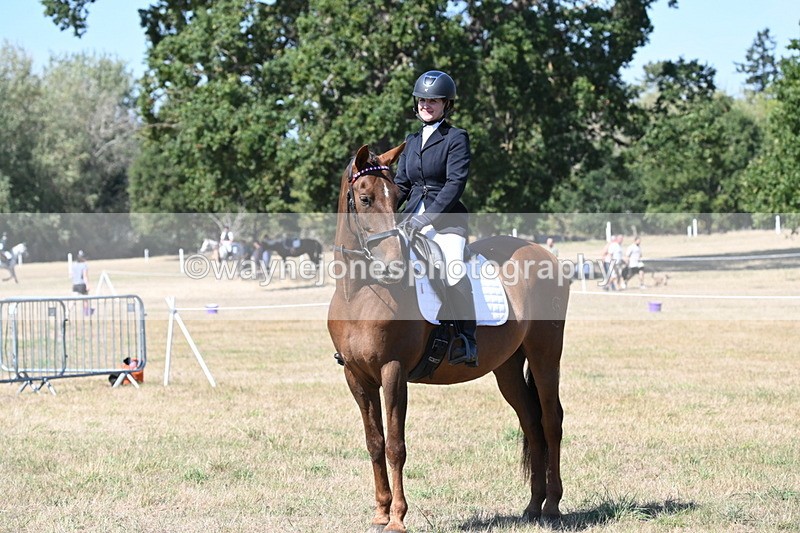 WJ6_9001 - Class 38 Ridden Riding Horse/Pony