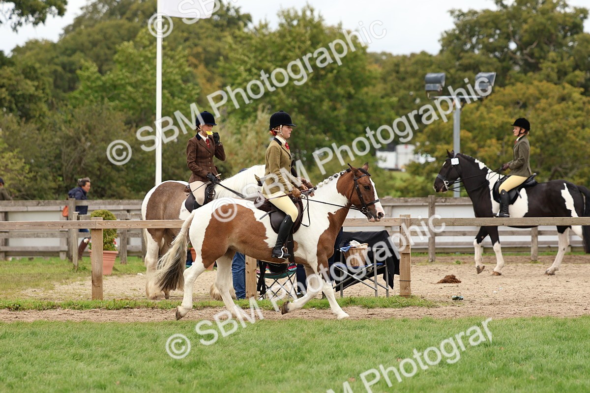 SBM_65199 - S59 - Part Bred Arab & Native Pony Ridden