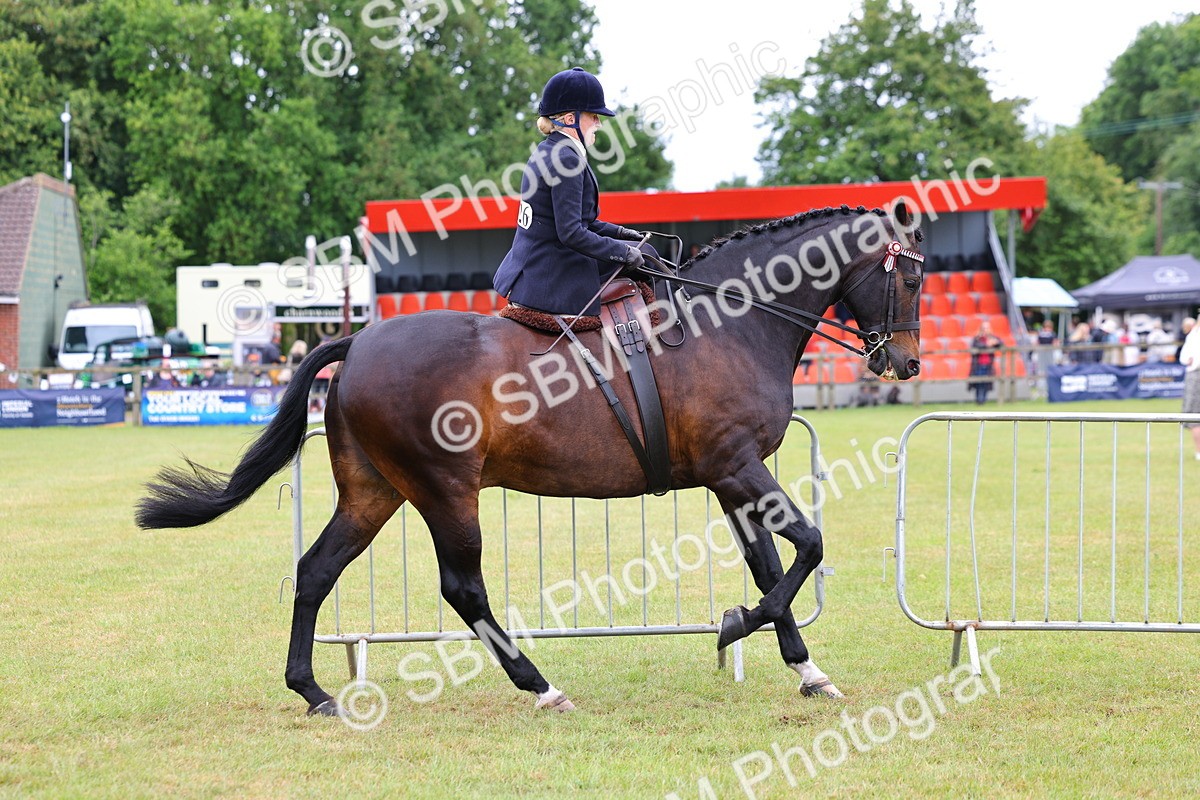 SBM_02820 - Class 9-11 Side Saddle including LIHS Rising Star Ladies Show Horse