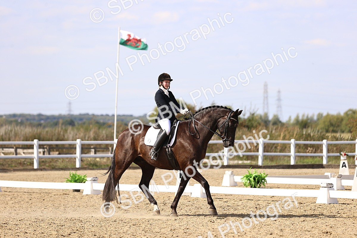 SBM_015221 - Class 8 - Medium 5