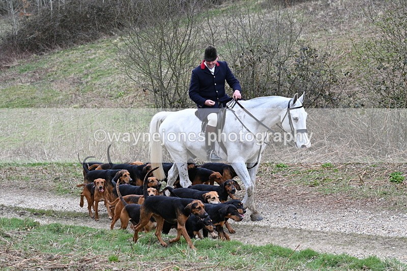 WJ7_7333 - Walk Home