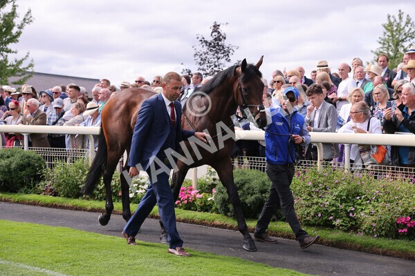 yr17082022r4-15 - Race 4 3.35pm Juddmonte International Stakes (British Champions Series Race)