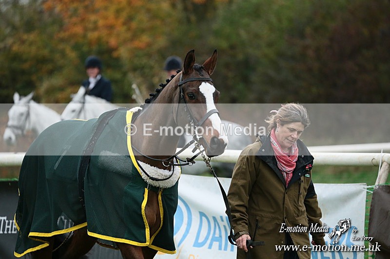 PtP 091124  290 - Knightwick Races Point-to-Point 09/11/24