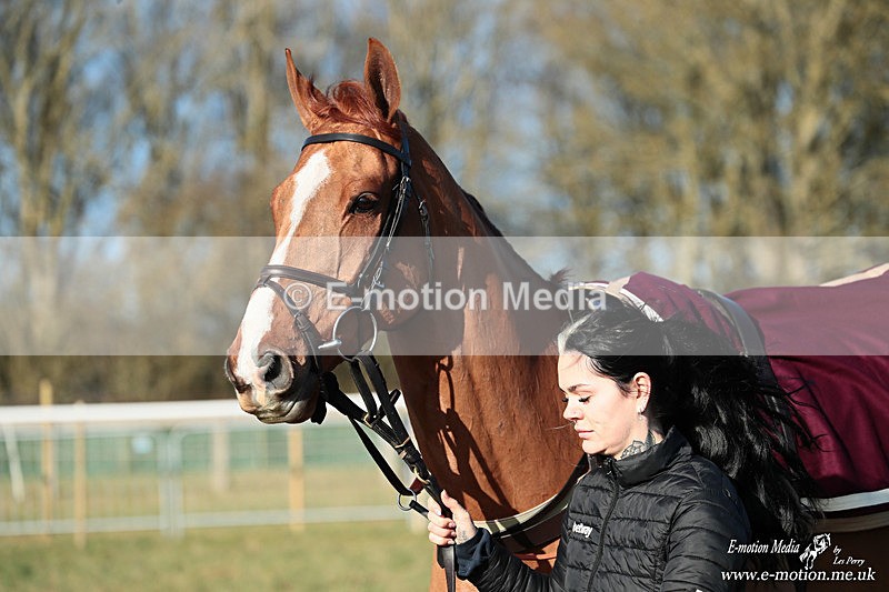 PtP 240126 4 - Cambridgeshire & Enfield Chase PtP Horseheath 24/01/26