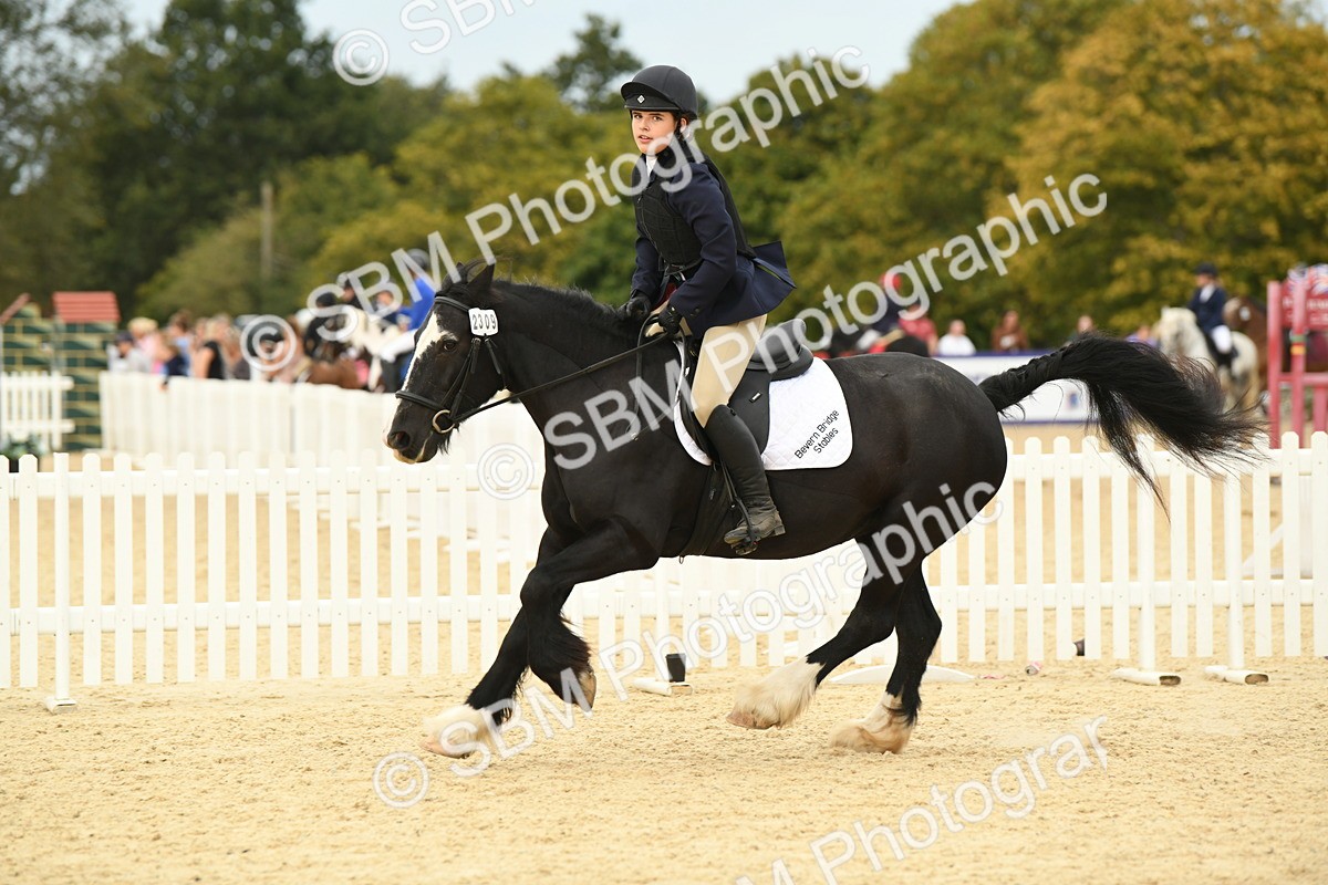 SBM_72970 - J16 - Junior Pony 75cm Championship
