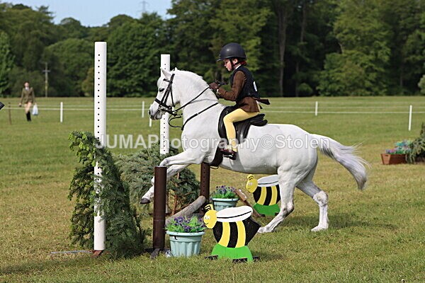 IMG_2133 - Working Hunter