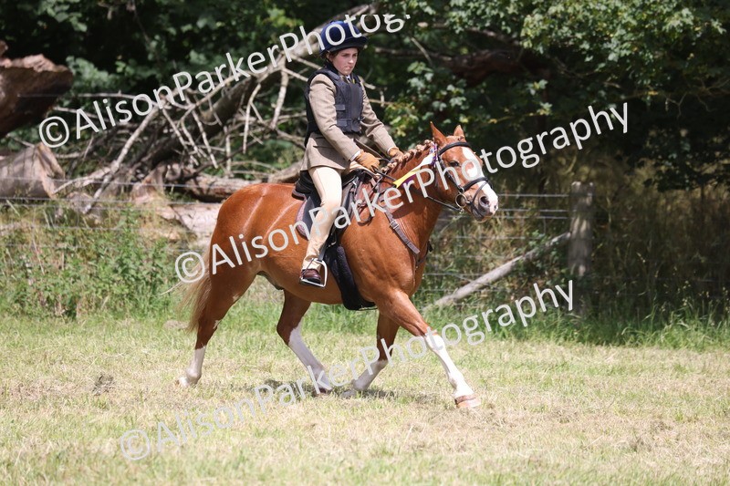 20260614-2185 - Class 21 - Novice Working Hunter Pony
