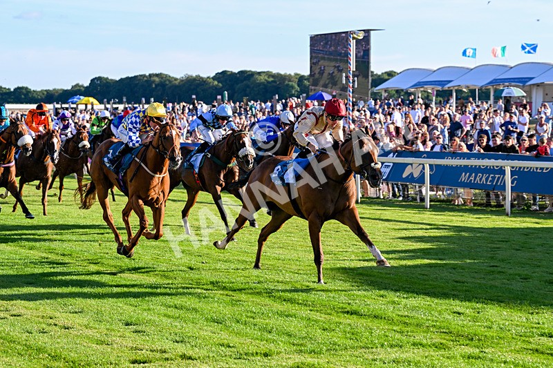 240726-Race 4-Rajaking-5347 - Race 4 19.15pm Tomahawk Handicap