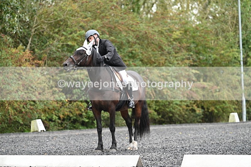 WJ7_3277 - Time 09:54 to 10:54