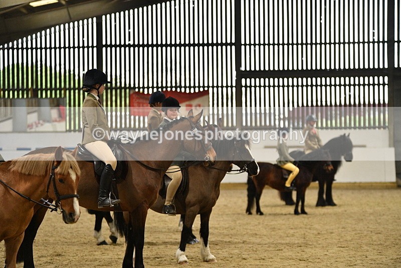 WJ5_8536 - Class 14 Novice Ridden/Rider
