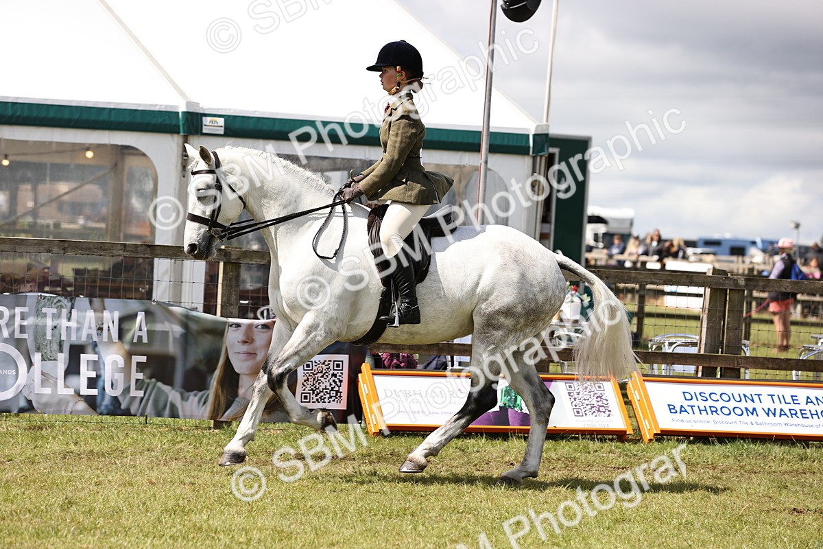 SBM_14556 - Class 88-89 - LIHS BSHA Rising Star of Ridden Hunter Type