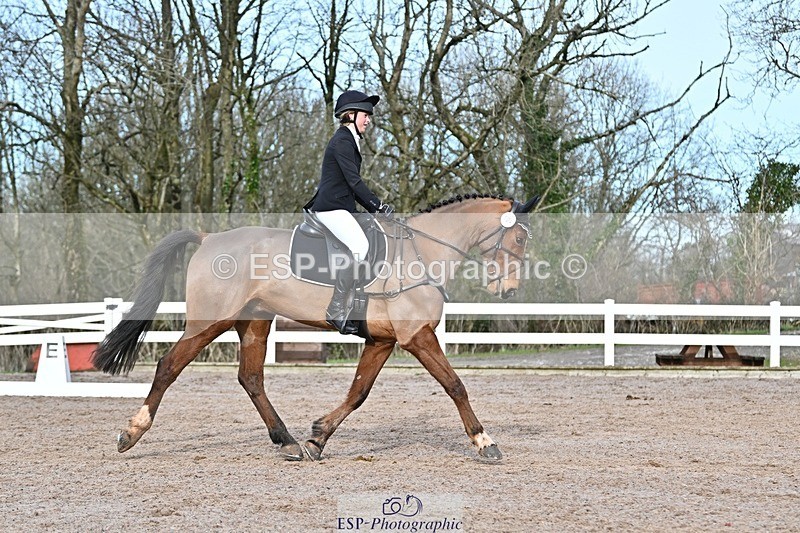 250125-125406-00508 - Dressage - CT Class 6 BE102