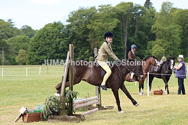 IMG_2565 - Working Hunter