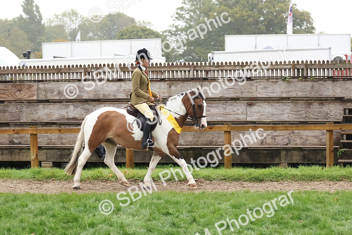 SBM_73101 - Ridden Pony Supreme Championship